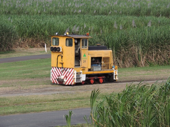 Sugar cane train