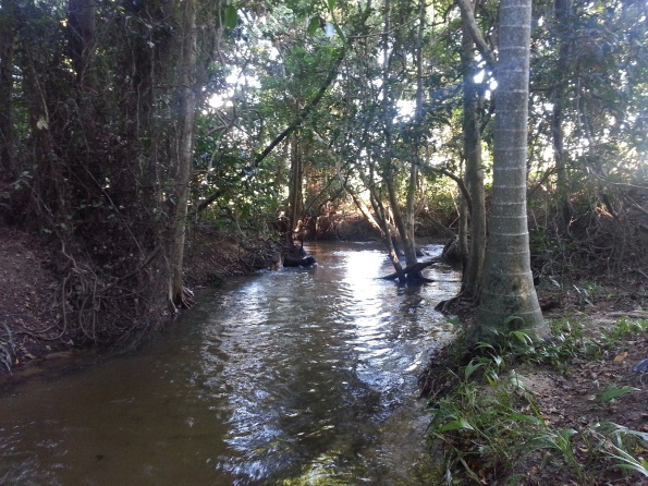 Creek before1