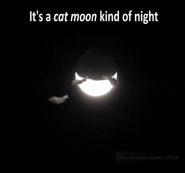 Cat moon5