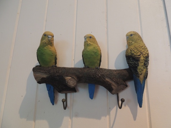 Budgies on branch